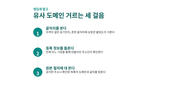 유사 도메인을 거르는 세 걸음을 정리한 주소모음 활용 도식
